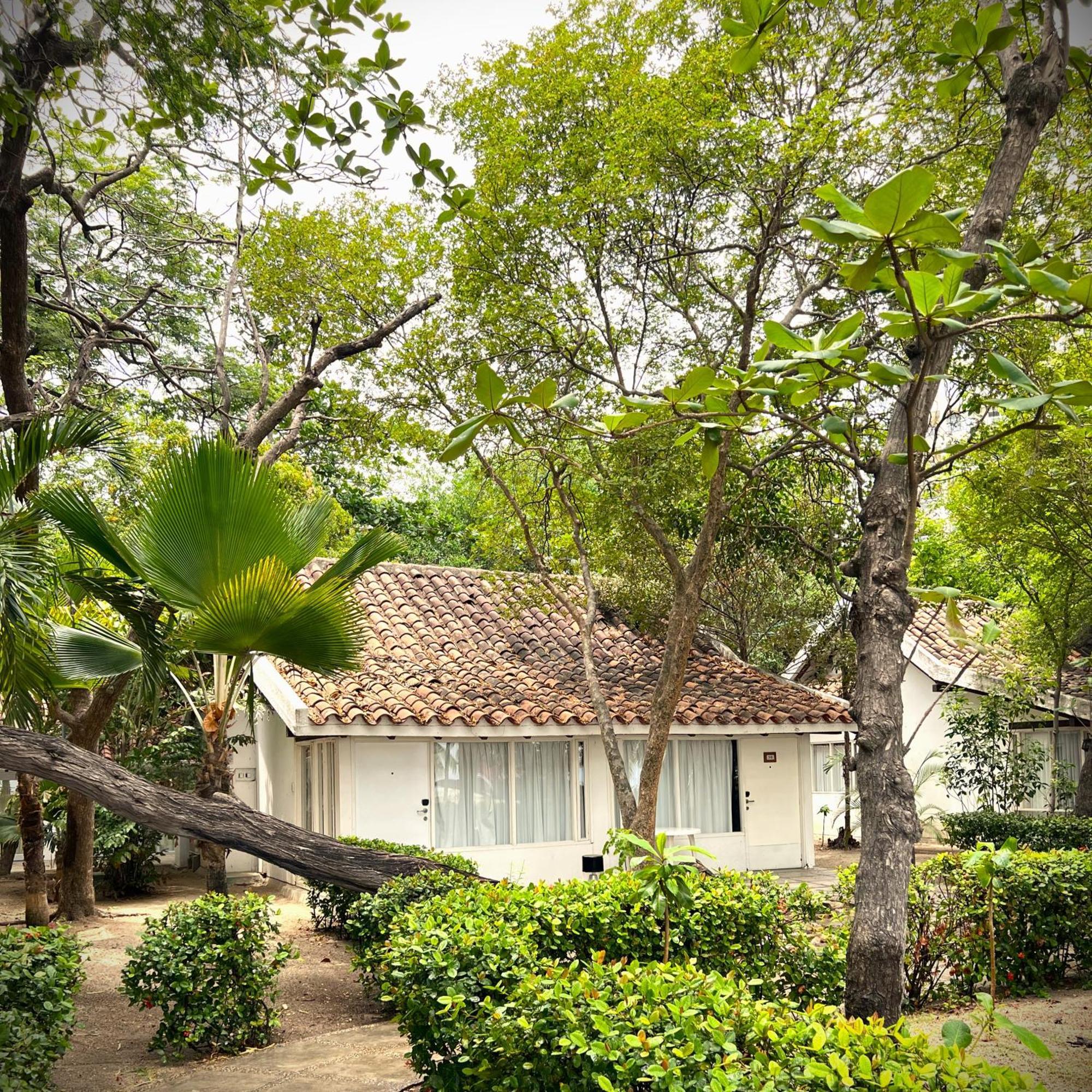 Hotel Irotama Bungalows & Bohios Santa Marta Dış mekan fotoğraf